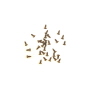 소품용 나무피스 브론즈 2X6mm 100개